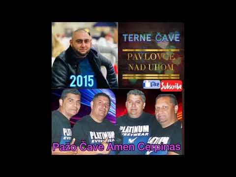 PAVLOVCE TERNE CAVE 54 - PAZO CAVE AMEN CERPINAS   2015