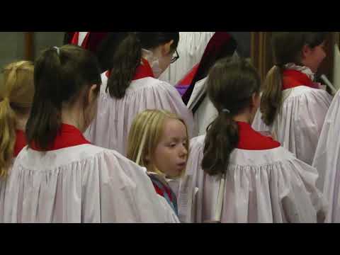 Hymn 66: Come, thou long-expected Jesus