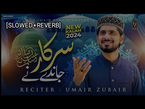 Sarkar Janday Ny | [Slowed+Reverb] | New naat