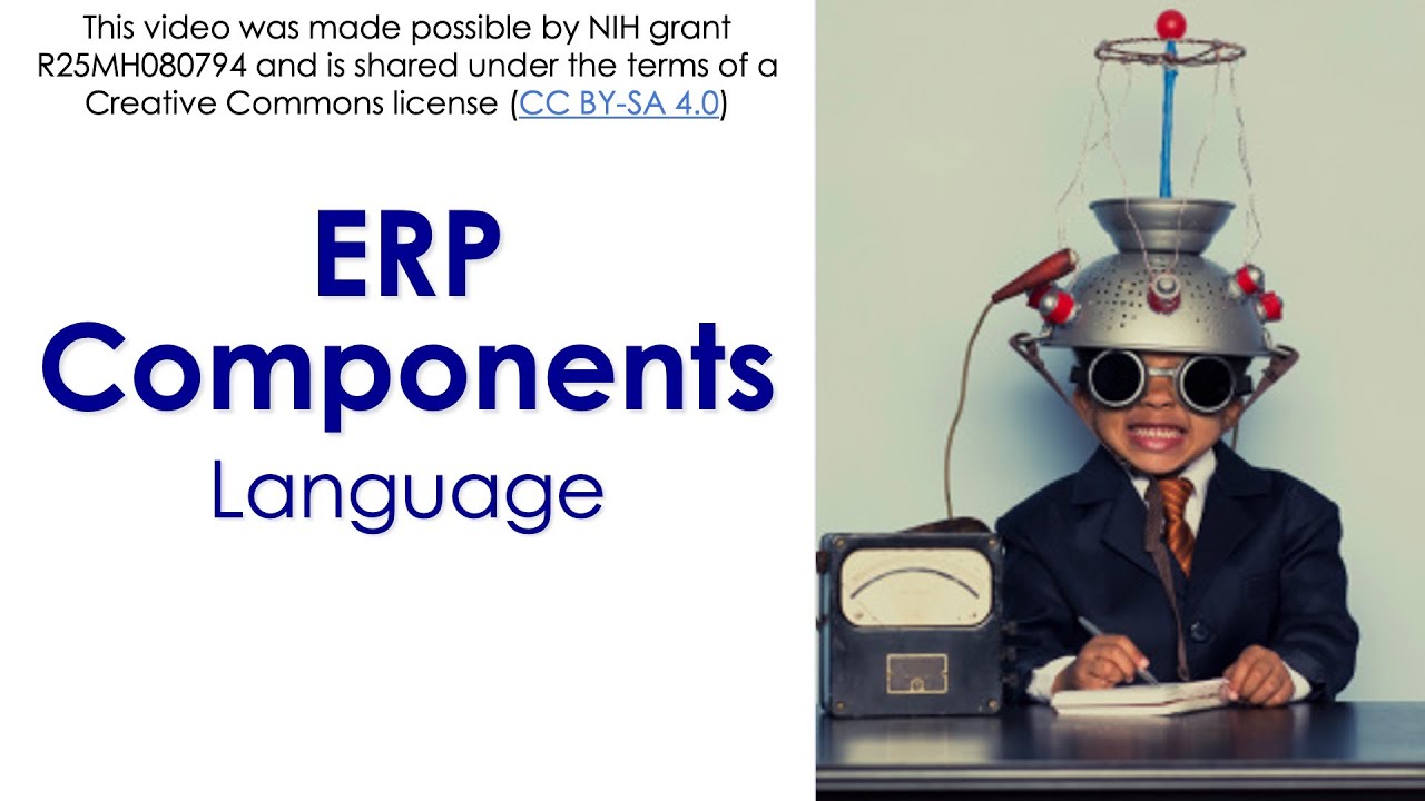 ERP Components 6-  Language