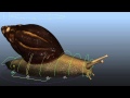 The snail Breakdowns ( 3D Animated shot )