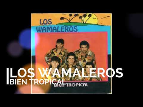 Los Wamaleros Bien tropical ENGANCHADOS