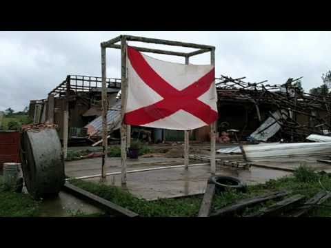 Tornado Tree Mind Twister