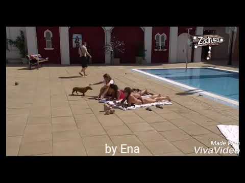 The best of KIJA KOCKAR (Humor)