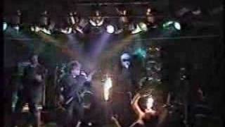 &quot;Only The Hard Survive!&quot;  NUNFIST