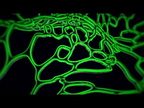 HOLY GOOF 's minimix for FABRICLIVE 97