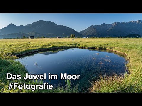 Das Juwel im bayerischen Moor - Habe ich den perfekten Fotospot gefunden?