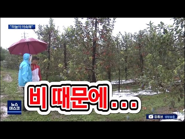 장마 끝나나 했더니 연이어 태풍.. 야속한 하늘