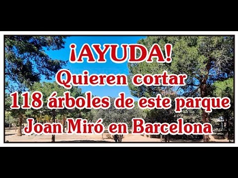 ¡AYUDA! QUIEREN CORTAR 118 ÁRBOLES DEL PARQUE JOÁN MIRÓ,