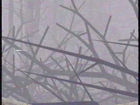 Archive: Scenes from the battle of Novigrad, March 1995