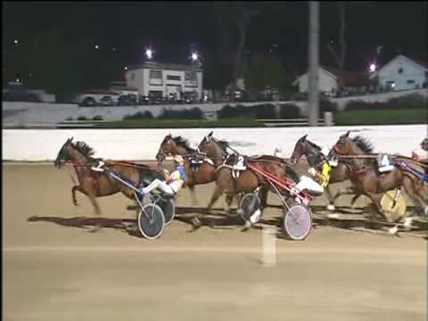 Trotto 14/07/2017 - 5ª corsa