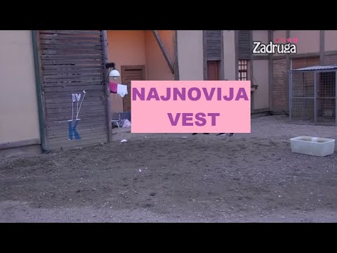 MOŽE LI SKANDALOZNIIIJE - USRED VRELEE AKCIJE Maju i Janjuša MORALO OBEZBEĐENjE da PREKINE #zadruga