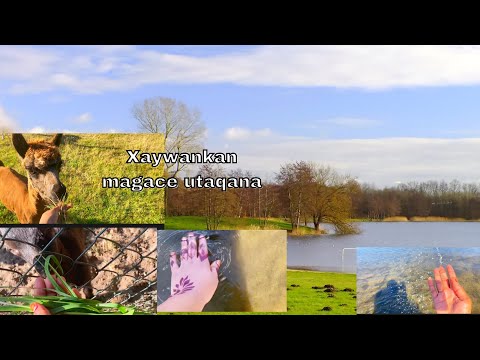 Day out to the beach inte adane by hafsa world