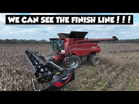 WE ARE ALMOST DONE WITH HARVEST