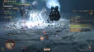 [MHWilds]自分記録用303