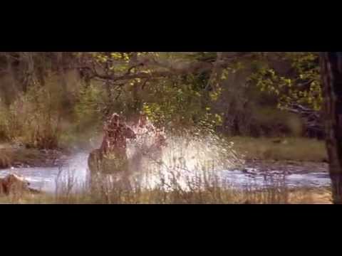 Jackie Chan vs Native Americans