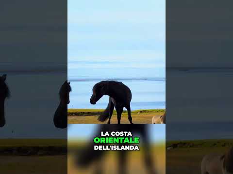 Viaggio in #Islanda  Alla scoperta di #Vestrahorn, la montagna degli elfi