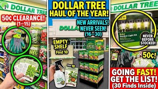 DOLLAR TREE Finds You NEED to Haul NOW! NEW 50% OFF Clearance & Never Seen Before Arrivals!