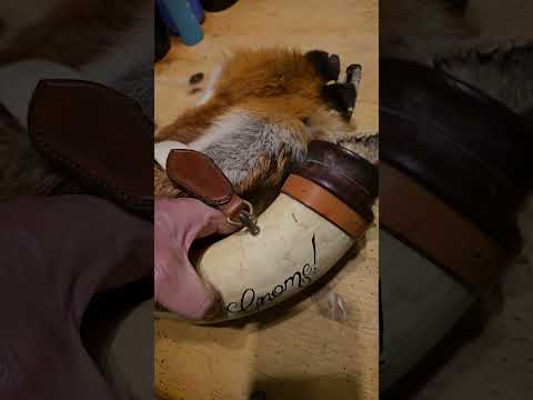 Powder horn