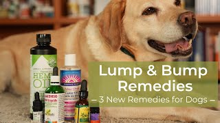 Dog Lump and Bump Home Remedies