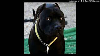 HOMBRES G - Chico Tienes Que Cuidarte (Video Oficial)