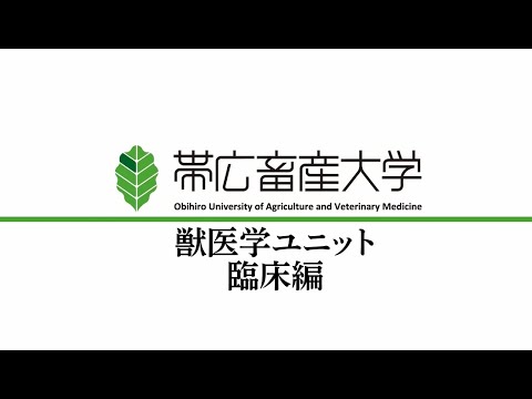 共同獣医学課程説明会③ 「獣医学ユニット 臨床編」