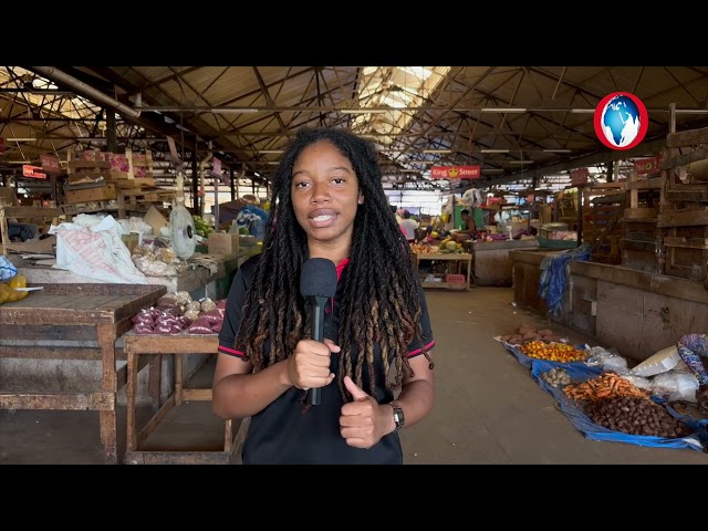 Preços Disparam Após Furacão: Escallion Chega a R$6.000 no Mercado!