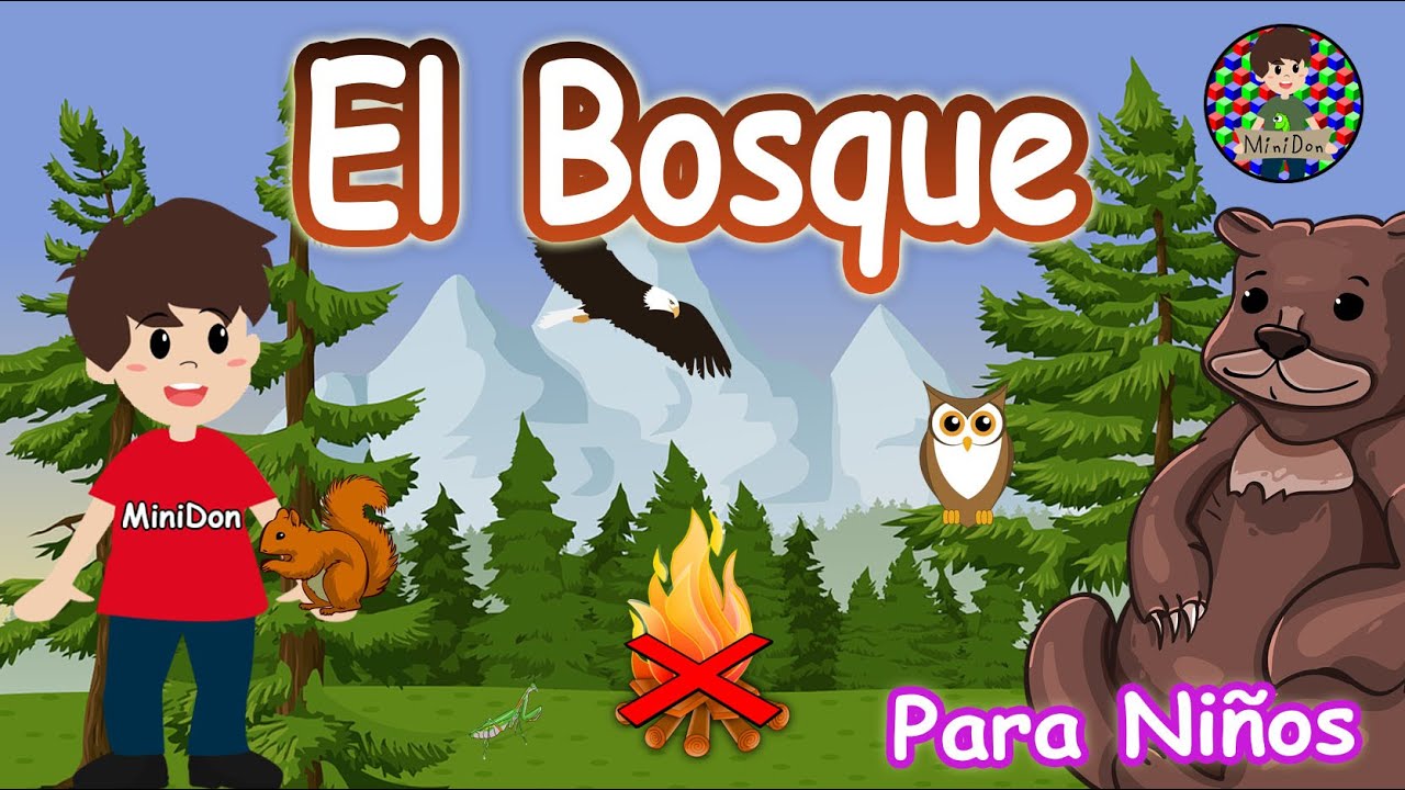¿Qué son los Bosques?🌳🌲 Video Educativo para niños