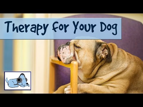 Dog Acoustics - Music Therapy for your Dog