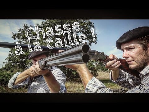 Chasse à la caille & bons vivants - Terroirs de gueuletons