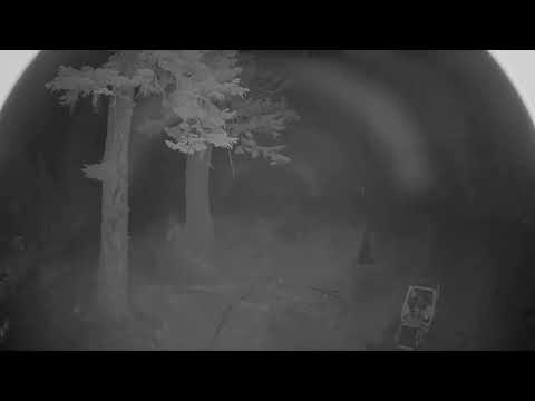Summit at Snoqualmie webcam — Alpental Mid-Mountain