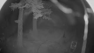Washington · Alpental Mid · Mountain live stream