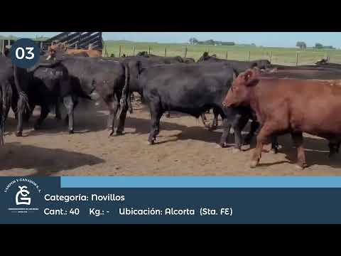 Lote NV - Alcorta Sta Fe