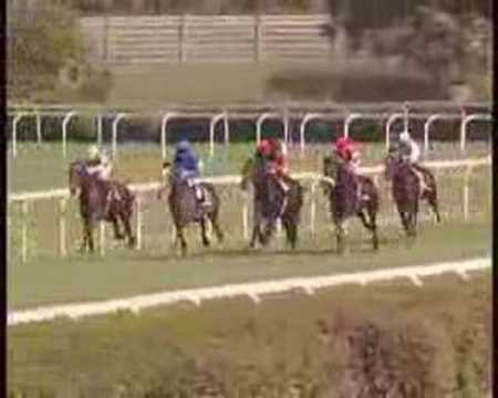 presidente repubblica distant way grande capannelle