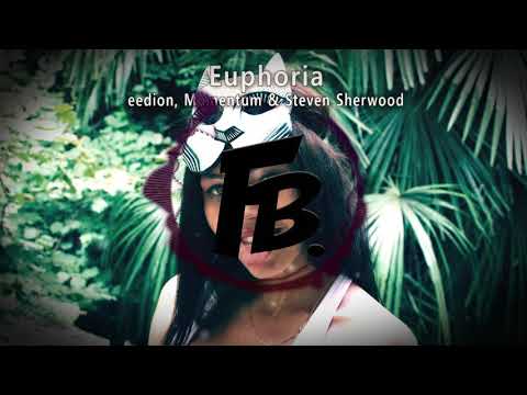 eedion, Momentum & Steven Sherwood - Euphoria