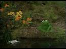 Muppet Show. Robin the Frog - Over the Rainbow (s03e07)
