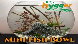 Hygger Mini Glass Fish Bowl Review | Nano Snail Tank