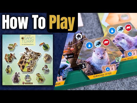 Sanctuary | How to Play | Learn to Play in 12 Minutes!