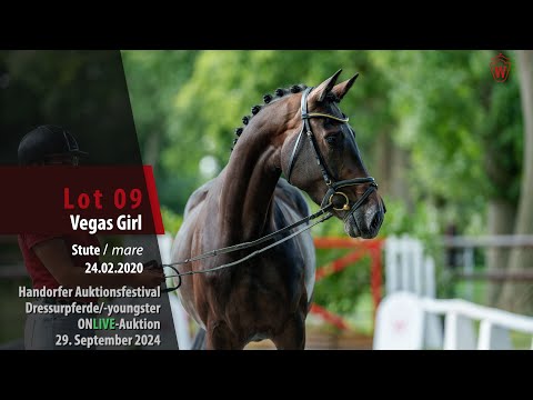Auktionsfestival Lot 09 Vegas Girl Stute v. Vaderland - Don Index