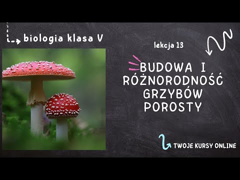 Biologia klasa 5 [Lekcja 13 - Budowa i różnorodność grzybów. Porosty]