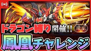 【パズドラ】唐突にきた最難関『鳳凰』チャレンジ！！ドラゴン縛りでクリアできるのか!? #shorts #パズドラ
