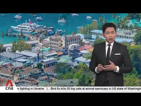 A look back at the 2004 Indian Ocean tsunami