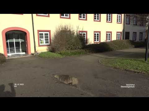 Ökonomiegebäude - Zwiefalten