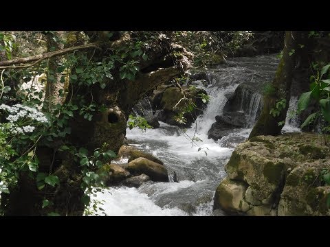 #Moukhtara #Hike 14-04-2019