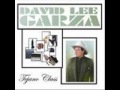 David Lee Garza & Musicales   YA ME CANSE