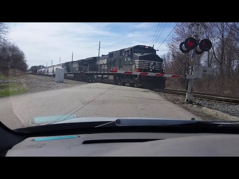 HornBlasters Shocker Vs Real Train Horn
