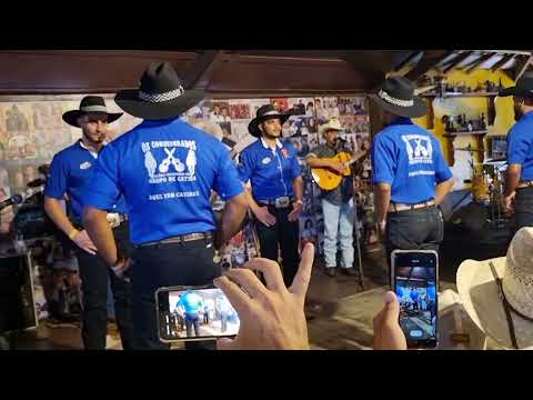 grupo de catira os considerados