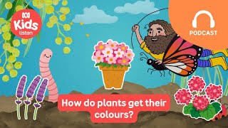 How do plants get their colours? 🌻 | Gardening Australia Junior PODCAST | ABC Kids listen