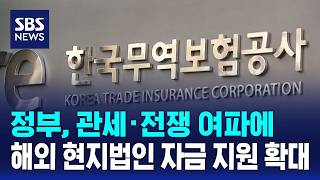 관세·전쟁 여파에..정부, 해외 현지법인 자금 지원 확대 / SBS / 경제365