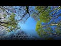 Michael Torke: BRIGHT BLUE MUSIC